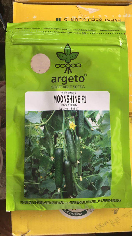 Moonshine F1 Cucumber for Polyhouse (Argeto Seeds) - Farmers Stop