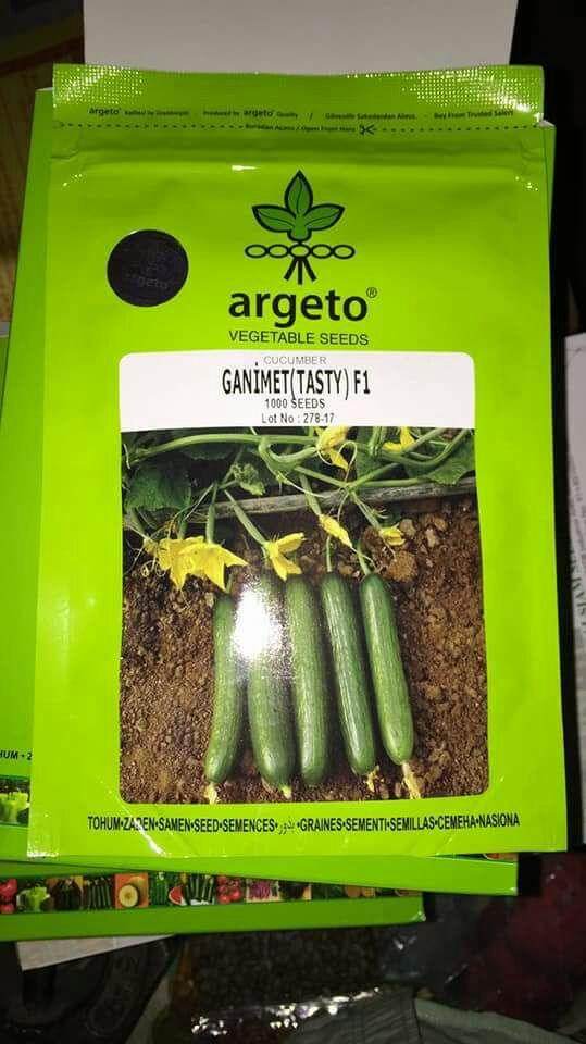 Ganimet (Tasty) F1 Cucumber for Open Cultivation (Argeto Seeds) - Farmers Stop