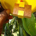 Catch Fruit Fly Lure (Barrix) - Farmers Stop