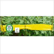 Magic Stickers Roll - Yellow (Barrix) - Farmers Stop