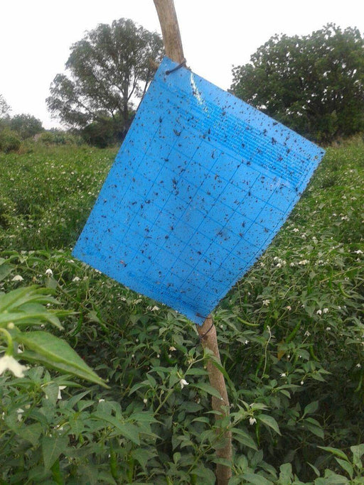 Magic Stickers Sheets - Blue (Barrix) - Farmers Stop