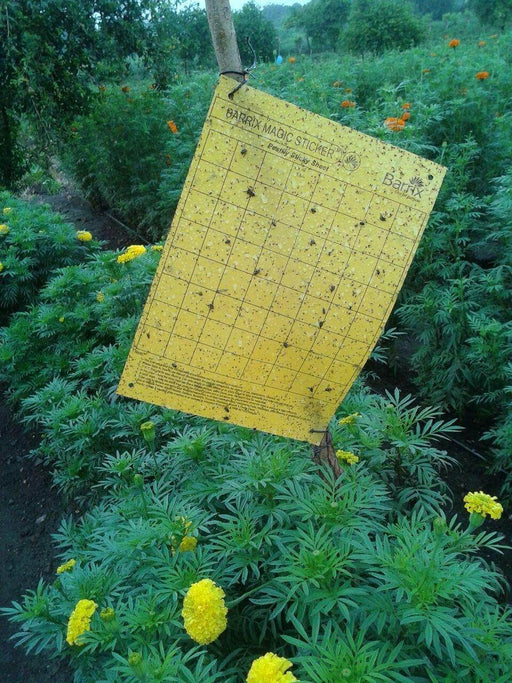 Magic Stickers Sheets - Yellow (Barrix) - Farmers Stop