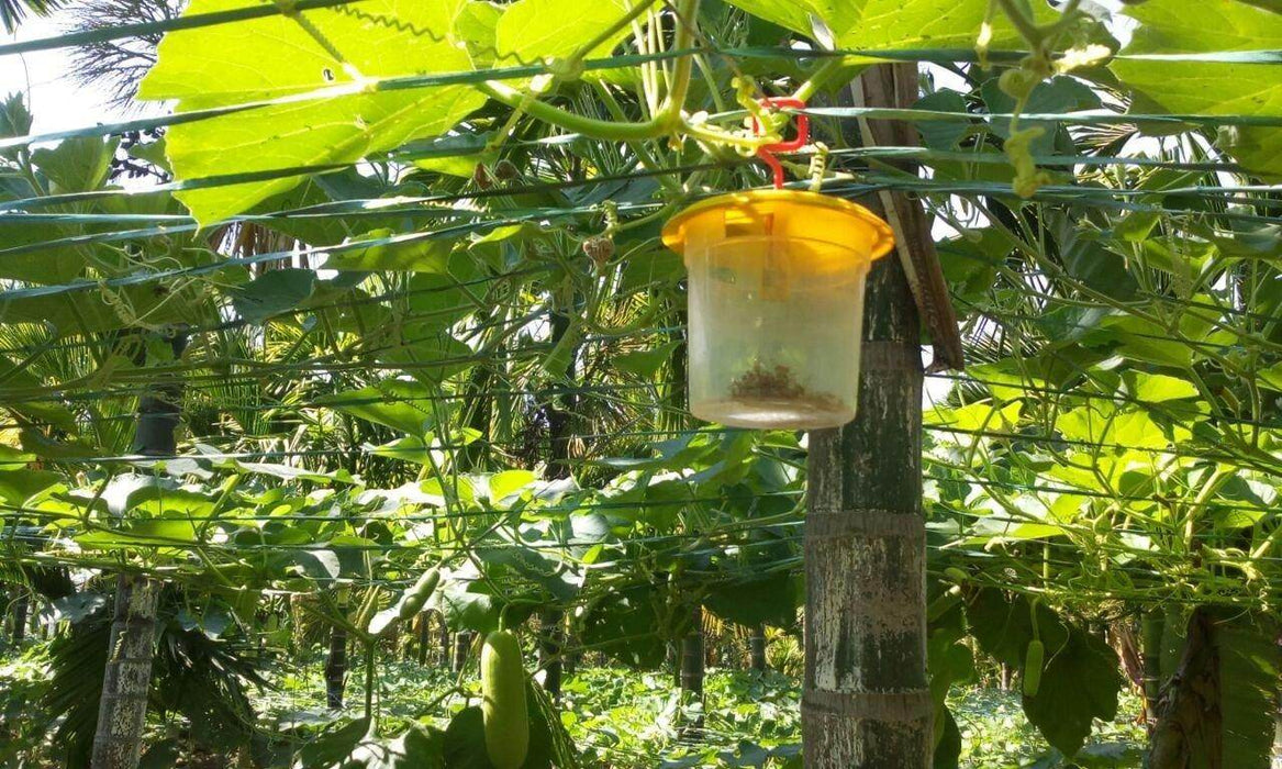 Catch Veg Fly Lure with Trapper (Barrix) - Farmers Stop