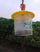 Catch Veg Fly Lure with Trapper (Barrix) - Farmers Stop