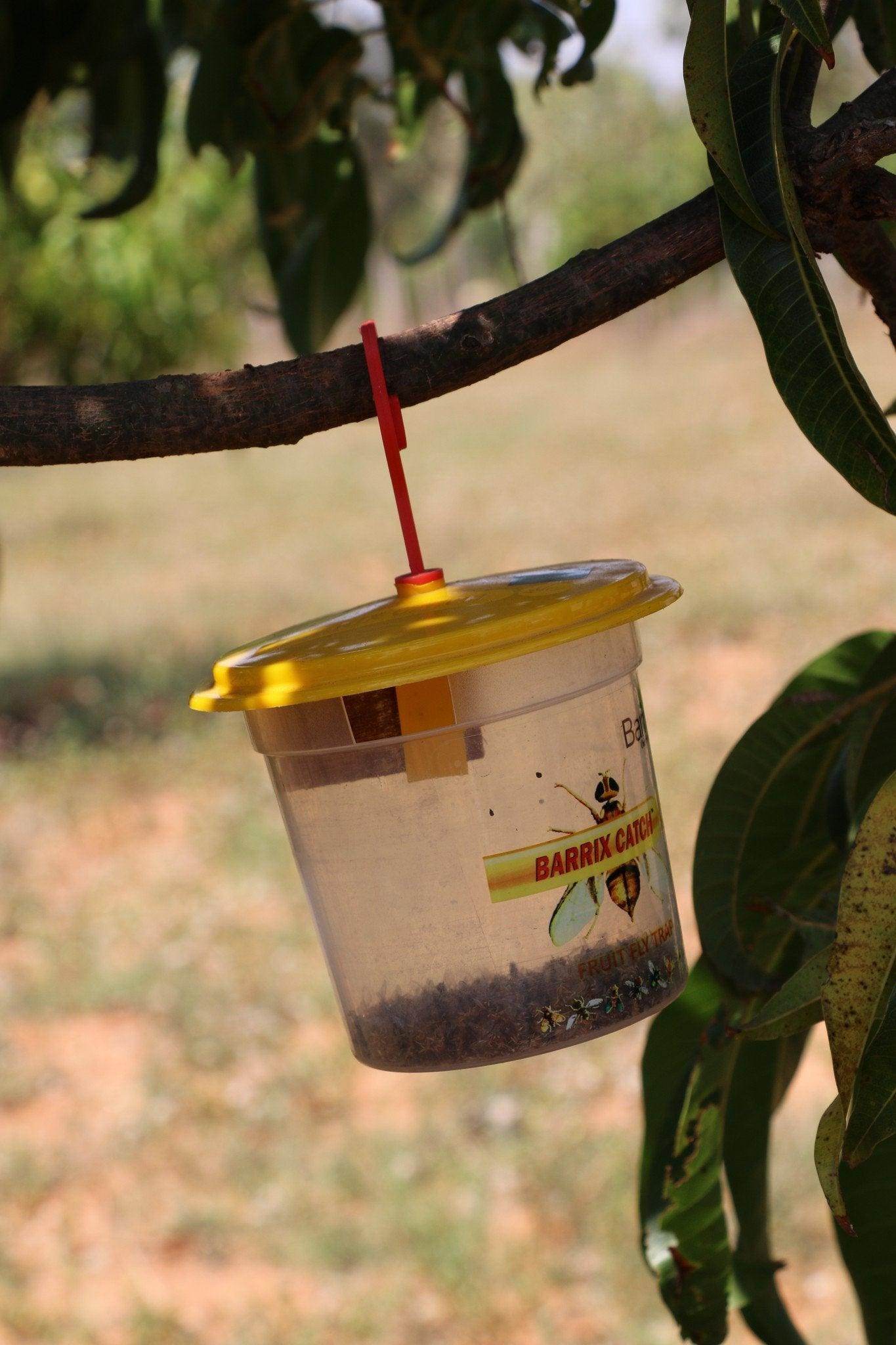 Catch Fruit Fly Lure with Trapper (Barrix) - Farmers Stop