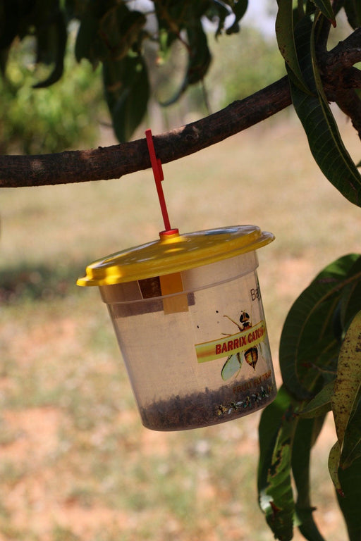 Catch Fruit Fly Lure with Trapper (Barrix) - Farmers Stop