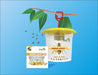 Catch Fruit Fly Lure with Trapper (Barrix) - Farmers Stop