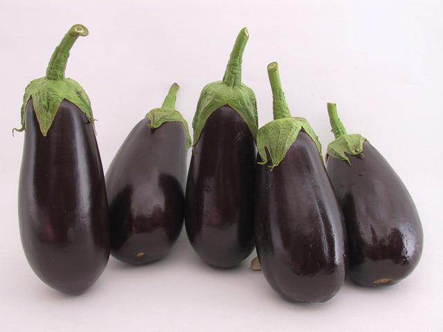 Michal/माइकल Parthenocarpic Eggplant (Genesis Seeds, Isreal) - No Cash on Delivery - Farmers Stop
