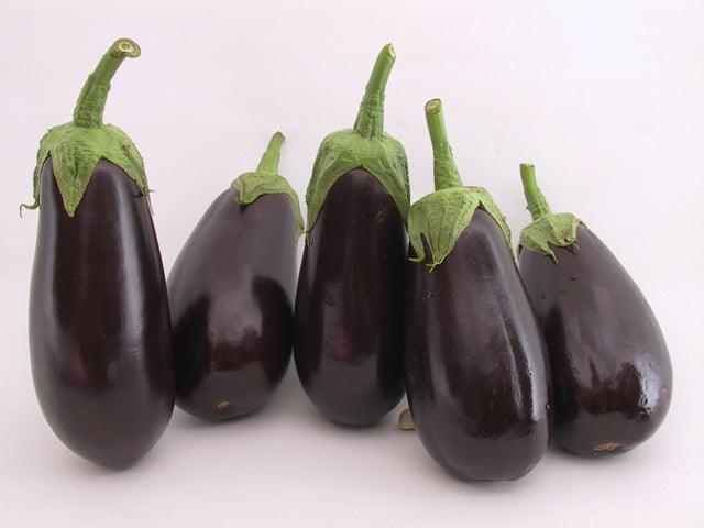 Michal/माइकल Parthenocarpic Eggplant (Genesis Seeds, Isreal)  - No Cash on Delivery - Farmers Stop