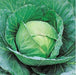 Cheers/चियर्स F1 Cabbage (Takii Seeds) - Farmers Stop