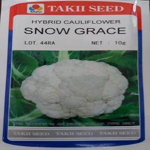 Snow Grace/स्नो ग्रेस F1 Cauliflower (Takii Seeds) - Farmers Stop
