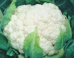Snow Mountain/स्नो माउंटेन F1 Cauliflower (Takii Seeds) - Farmers Stop