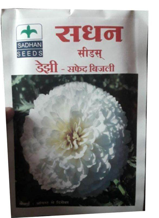 Daijhi - White Bijalee Flower (Sadhan Seeds) - Farmers Stop