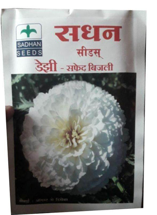 Daijhi - White Bijalee Flower (Sadhan Seeds) - Farmers Stop