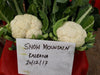 Snow Mountain/स्नो माउंटेन  F1 Cauliflower (Takii Seeds) - Farmers Stop