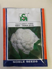 NBH Tania 815 F1 Cauliflower (Noble) - Farmers Stop