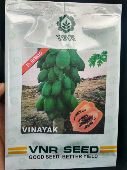 Vinayak F1 Hybrid Papaya (VNR Seeds) - Farmers Stop