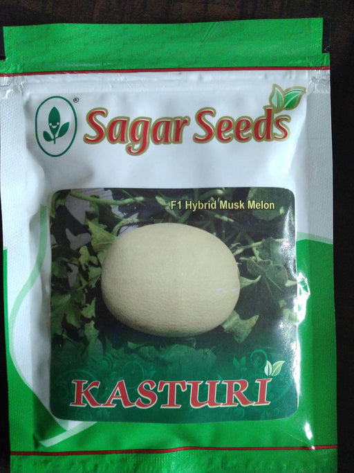 Kasturi/कस्तूरी Hybrid Muskmelon (Sagar Biotech Seeds) - Farmers Stop