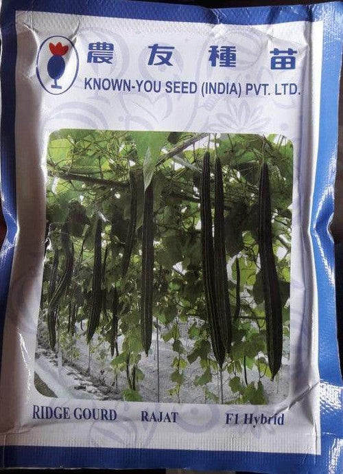 Ridgegourd (Turai / Tori) Seeds – Vigorous & High Yield Varieties