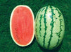 ns 750 watermelon (namdhari)
