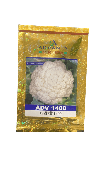 adv 1400 f1 hybrid cauliflower (golden seeds /advanta)