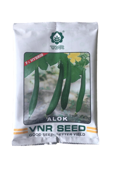 alok/अलोक f1 hybrid sponge gourd (vnr seeds)