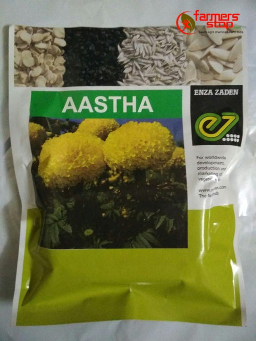 aastha/आस्था f1 hybrid marigold (enza zaden)