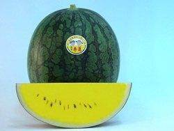 Anmol/अनमोल Hybrid Watermelon Yellow Flesh (Known You Seeds) - Farmers Stop