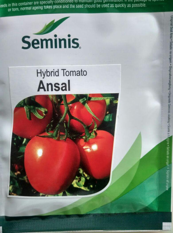 ansal/अंसल f1 hybrid tomato seeds (seminis)