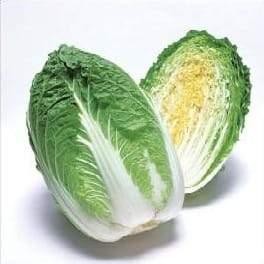 apollo/अपोलो f1 chinese cabbage (takii seeds)