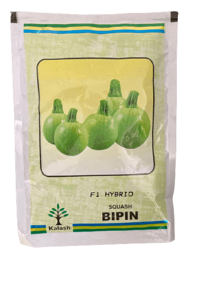 bipin f1 hybrid squash (kalash seeds)