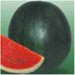 black magic/ब्लैक मैजिक watermelon (seminis)