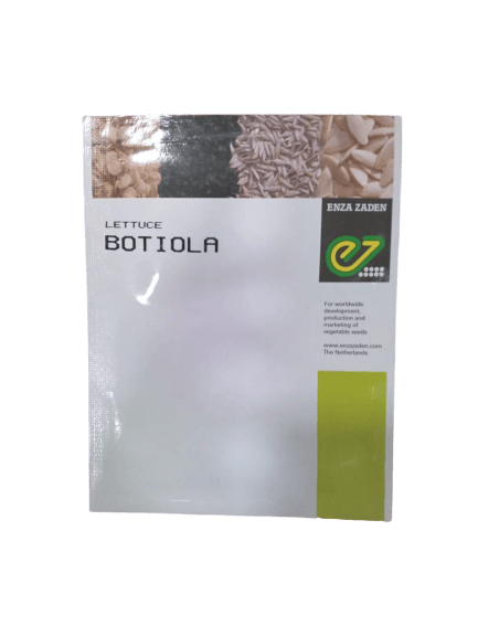 botiola  f1 hybrid lettuce (enza zaden)