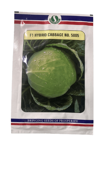 5005 f1 hybrid cabbage (sungro seeds)