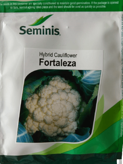 fortaleza f1 hybrid cauliflower (seminis)