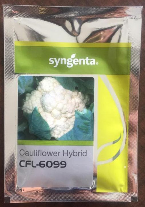 cfl-6099 f1 hybrid cauliflower (syngenta)