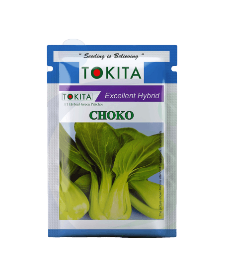 choko pakchoi f1 hybrid (tokita seeds)