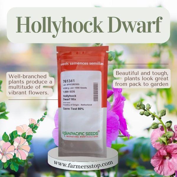 hollyhock dwarf mix (asiapacific seeds, new zealand)