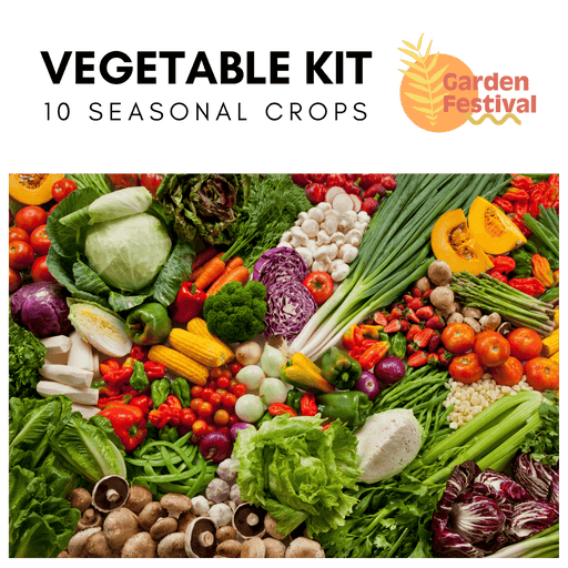 10 Easy Growing Best Vegetable Seed's Kit (Garden Festival) - Farmers Stop