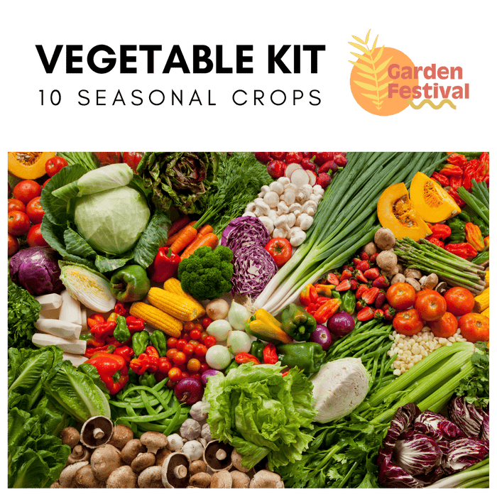 10 Easy Growing Best Vegetable Seed's Kit (Garden Festival)