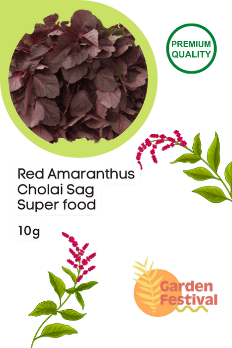 superfood red amaranthus lal cholai sag seeds