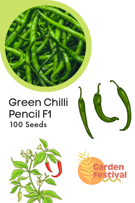 pencil type green chilli hybrid f1 seeds