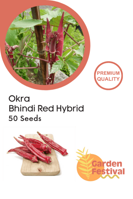 okra - bhindi red hybrid (garden festival)