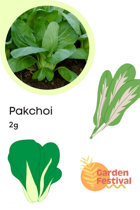 pakchoi f1 hybrid quality seeds