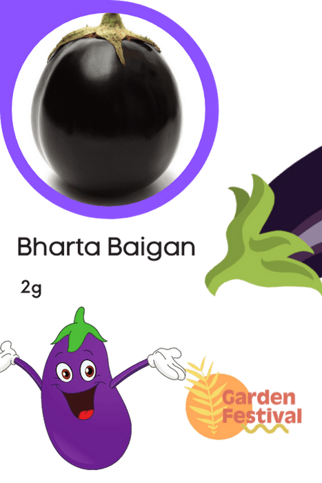 bharta baigan hybrid quality seed (garden festival)