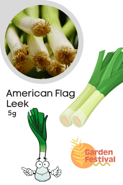 imported leek american flag seeds for quality produce