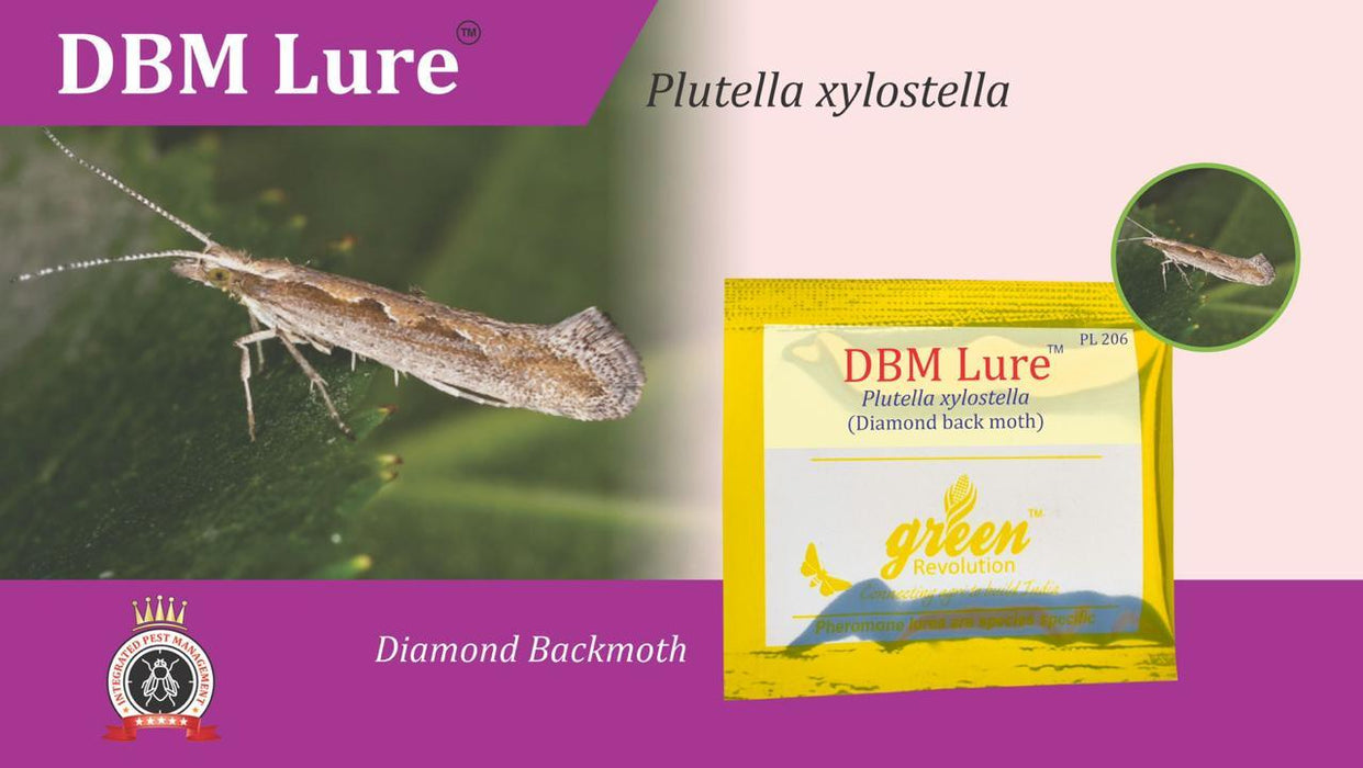 dbm lure with pheromon trape-plutella xylostella(green revolution) 10 nos lure
