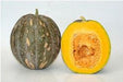 deesha/दिशा winter squash (pumpkin) (known you seeds)