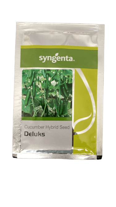 deluks f1 hybrid polyhouse cucumber (syngenta)