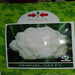 dhaval/धवल 043 cauliflower (east west seed)